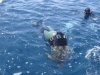 FOTO 22 - Un tuffo a Punta Imperatore.. davanti i Poseidon!