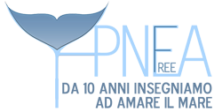 Logo ApneaFree