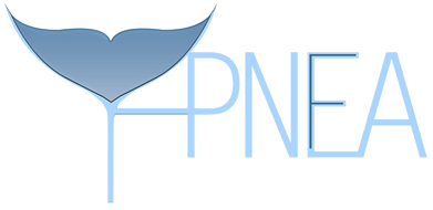 logo Apneafree