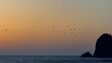 stage ventotene