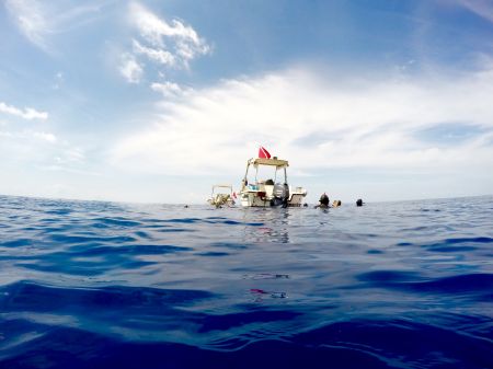 STAGE ASSETTO COSTANTE E PESCA IN APNEA ACCIAROLI