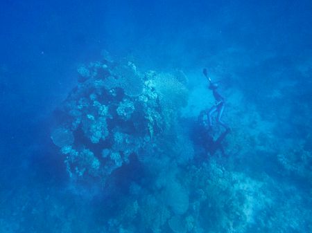 Apneafree a Sharm  - Assetto costante
