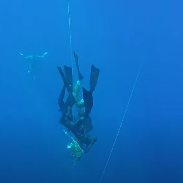 Marina Di Cetraro - Slitta NO LIMITS