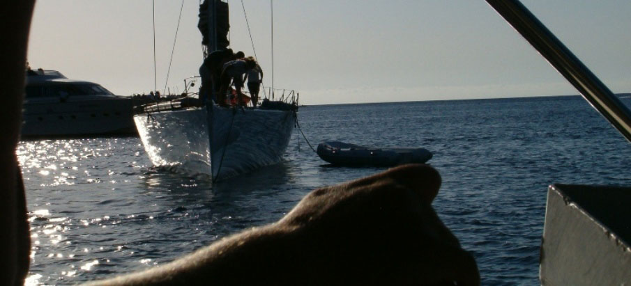 vela e apnea